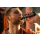 Philips QP6551/15 OneBlade Pro Face + Body - 1071506 - zdjęcie 4
